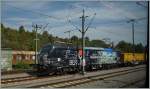 Zur Feier des Tages: Die Vectron  Mauerfall-Lok  in Rottweil.