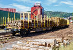 Beladener vierachsiger Drehgestell-Flachwagen (Holzwaggon) mit Niederbindeeinrichtung (Ladungssicherungssystem „Autonordic“) und Rungensystem ExTe (SR8), 81 80 4723 525-9 D-TWA, der Gattung Snps (TWA Bezeichnung SNPZ), der TRANSWAGGON GmbH (Hamburg) zurzeit an die Mercer Holz vermietet, beladen mit Fichten-Rundholz abgestellt am 07 September 2024 in Siegen-Eintracht auf der Gleisanlage der KSW - Kreisbahn Siegen-Wittgenstein (Eisern-Siegener Eisenbahn NE 437).

Der Wagen wurde 2022 von Tatravagonka Poprad (Slowakei) unter der Fabriknummer 013 gebaut (die Drehgestelle unter Fabriknummer 297016).

Die 4-achsigen Wagen Snps sind zum Transport von Holz der Längen 2 m, 2,5 m, 3 m, 4 m, 5,1 m und 6 m bestimmt. Die Wagen sind mit ExTe Ladungssicherungs- und Rungensystem (ExTe SR8) vom schwedischen Hersteller ExTe Fabriks AB in Färila (Schweden) ausgestattet. Die ExTe liefert Produkte an Holzspediteure in der ganzen Welt, die Anforderungen an die Sicherheit auf Straße und Schiene, ein gutes Arbeitsumfeld und einen rationellen Transport stellen. Für die TWA wurden (über die Tatravagonka Poprad) zwischen 2015 und 2022 für 409 dieser Drehgestell-Flachwagen (Snps / SNPZ) diese Systeme geliefert. Wenn man das Rungensystem und die Ladeschwellen entfernt, ist es auch möglich den Wagen für Containertransporte zu verwenden.

TECHNISCHE DATEN des Wagens:
Gattung: Snps (TWA SNPZ, mit Rungensystem ExTe)
Spurweite: 1.435 mm (Normalspur)
Anzahl der Achsen: 4 (in 2 Drehgestellen)
Profil: G2
Länge über Puffer: 20.770 mm
Drehzapfenabstand: 15.230 mm
Radsatzstand in den Drehgestellen: 1.800 mm
Drehgestellbauart: Y25Ls-K (Kopfstückloses Güterwagen-Drehgestell)
Laufragdurchmesser: 920 mm (neu) / 840 mm (abgenutzt)
Ladelänge: 19.530 mm
Fußbodenhöhe über SOK: 1.120 mm UK Ladeschwellen/Rungen (+ 150 mm)
Höhe der Ladeebene: 1.270 mm
Ladequerschnitt: 6,3 m²
Rungenhöhe: 2.488 mm
Ladebreite zw. den Rungen: 2.620 mm
Anzahl der Rungenpaare: 12
Anzahl der Spanngurte („ExTe Autonordic“): 10
Eigengewicht: 23.000 kg 
Max. Zuladung: 67 t (ab Streckenklasse D) 
Max. Geschwindigkeit: 100 km/h (beladen) / 120 km/h (leer)
Kleinster Gleisbogenhalbmesser: 75 m
Bremse: KE-GP-A max. 59 t (K)
Bremssohle: K-Sohle C 810
Feststellbremse: Ja
Intern. Verwendungsfähigkeit: TEN CW

Bedeutung der Gattungsbezeichnung (Snps) :
S = Flachwagen mit Drehgestellen in Sonderbauart
n = Lademasse bei Lastgrenze C: m > 60 t
p = ohne Borde
s = beladen zugelassen für Züge bis 100 km/h

Zudem verfügen diese Wagen der TWA über PJM WaggonTracker ADV:
Die digitale Welt eröffnet viele Möglichkeiten und verschafft vor allem Transporteuren enorme Vorteile. PJM hat die notwendige Verknüpfung zwischen Gütertransporten im Schienenverkehr und der Digitalisierung schon vor langer Zeit erkannt und ist mit dem patentierten Monitoring-System WaggonTracker Pionier. WaggonTracker kombiniert Monitoring und Automation und bietet damit ein robustes Gesamtsystem, das dem Flottenbetreiber enorme Effizienz und Kosten-Einsparungen verschafft: Man erhält wichtige Informationen in Echtzeit über die Fahrzeugflotte und aufwändige Prozesse werden automatisiert.

Der WaggonTracker ADV ist Energieautark, ein Radnabengenerator versorgt die WaggonTracker-Plattform autonom mit Strom. 

Der WaggonTracker übermittelt die Echtzeit-Lokalisierung via Web-Service, u.a. über die Fahrleistung, die aktuelle Position und Radsatz-Laufleistungs-Verwaltung.  Das ADV-System (wie hier) bietet zusätzlich die Überwachung des Fahrzeugzustands, einzelner Komponenten und der geladenen Güter. Im Anlassfall werden Alarmmeldungen verschickt. Es werden z.B. die Achslager-Temperatur und Beladezustand überwacht. Eine Signalisierung / akustische Warnung bei Überladung (asymmetrische Beladung, Radsatzlast) werden bei Ladevorgängen direkt am Wagen signalisiert. Was hier bei solchen Wagen sicherlich für die Holzverladung sehr hilfreich ist. 

Die Signallampen am Wagen zeigen an:
    Überladung
    Radsatzüberlast
    Radscheibenüberlast
    Asymmetrische Beladung
    Unzulässige Drehgestell-Lastverteilung
    Ladung in Ordnung
    Beladungsschwellwert

Automatische Bremsprobe: 
Eine automatische Bremsprobe ersetzt die aufwändige, händische Überprüfung. Bei einem 500 m langen Güterzug bedeutet das eine Zeitersparnis von 30 Minuten. Die Ergebnisse der automatischen Bremsprobe werden auf dem Display des Zugführers oder Bremsproben-Verantwortlichen übersichtlich angezeigt.

Die MERCER Holz:
Mercer Holz ist die Holzeinkaufsorganisation für alle deutschen Produktionsstandorte von Mercer International (Mercer Rosenthal, Mercer Stendal, Mercer Torgau und Mercer Timber Products). Seit mehr als 15 Jahren beliefert sie Zellstoff- und Sägewerke mit großen Industrieholz- und Hackschnitzelmengen. Neben der Belieferung der deutschen Mercer-Werke bietet sie zudem kompetente Beschaffungs-, Holzernte- und Logistikdienstleistungen für Drittkunden an. 

Die Mercer Holz ist auch ein gefragter Dienstleister für die Waldbesitzer. Sie kaufen Holz ein, bündeln es nach Baumarten und Qualitäten und beliefern eigene und dritte Unternehmen gemäß ihrer jeweiligen Ansprüche an Qualität und Logistik. Auf diese Weise kann sowohl für Lieferanten als auch Kunden eine maximale Wertschöpfung bei der Holzaushaltung erzielt werden.
