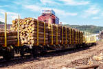 Beladener vierachsiger Drehgestell-Flachwagen (Holzwaggon) mit Niederbindeeinrichtung (Ladungssicherungssystem „Autonordic“) und Rungensystem ExTe (SR8), 81 80 4723 180-3 D-TWA, der Gattung Snps (TWA Bezeichnung SNPZ), der TRANSWAGGON GmbH (Hamburg) zurzeit an die Mercer Holz vermietet, beladen mit Fichten-Rundholz abgestellt am 07 September 2024 in Siegen-Eintracht auf der Gleisanlage der KSW - Kreisbahn Siegen-Wittgenstein (Eisern-Siegener Eisenbahn NE 437).

Der Wagen wurde 2016 von Tatravagonka Poprad (Slowakei) unter der Fabriknummer 163 gebaut (die Drehgestelle unter Fabriknummer 108337).

Ausführliche technische Beschreibung dieser Wagen siehe: http://hellertal.startbilder.de/bild/deutschland~wagen~gueterwagen-der-gattung-s-sonst-drehgestellflachwagen/861354/beladener-vierachsiger-drehgestell-flachwagen-holzwaggon-mit-niederbindeeinrichtung.html
