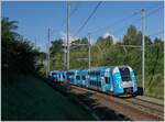 Die schöne, himmelblaue Computermaus ist von Grenoble nach Genève unterwegs und hat ihr Ziel schon fast erreicht.