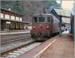 Die Mitte Dezember aus Witterungsgr�nden (Erdrutschgefahr) verschoben Reise konnte ich nun nachholen und so ist aus der  letzten Reise 2023 nach Italien  die  erste Reise nach Italien im neuen Jahr