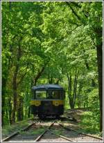 - Ein Uerdinger im Wald - Der Triebwagen 551 669 (ex Chemin de Fer des 3 Vall�es, ex DB VT95 669) erreicht am 01.05.2011 die Kreuzungsstelle Fuussb�sch der Museumsstrecke Train 1900.