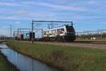 Am 3 M�rz 2024 zieht RFO 2019 302 ein Containerzug durch Valburg CUP nach Emmerich.