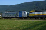 BLS: RAIL POOL 187 005-4 bei Grenchen am 21.