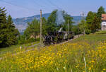 Pfingstdampf Festival der Museumsbahn Blonay-Chamby am 27.05.2012.