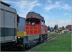  In Villeneuve werden die beiden Stuttgarter S-Bahn Triebwagen ins Alstom Werk Villeneuve rangiert  nun hier sieht man WER rangiert; bzw die E-Triebwagen über die fahrleitungslose Strecken schiebt: die SBB Tm 234 112-0  Ameise , der Tm war auch für die ETCS Fahrt der Re 6/6 11603 zuständig, und auch einer der Gründe, weshalb ich die Rückfahrt des Zuges nicht abwartete. 

6. Sept. 2024