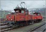 Gleich zwei aufgebügelte Ee 3/3 gab es in Biel/Bienne zu bewundern: Vorne die ältere Ee 3/3 16408 von 1946 und hinten die Ee 3/3 16451 aus dem Jahre 1965.