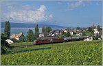 Zwei Re 4/4 II mit einem Kesselwagenzug bei Cully.