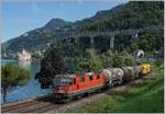 Die SBB Re 420 247-9 mit einem Güterzug kurz vor Villeneuve.