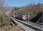 Die SBB Re 420 238-8 ist mit einem kurzen Güterzug bei Bossière Richtung Puidoux unterwegs.