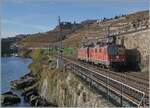 Von der bekannten Fotostelle aus konnten ich zwischen Rivaz und St-Saphorin die beiden SBB Re 4/4 II 11259 und 11240 (Re 420 259-4 und Re 420 240-4) als Lokzug auf der Fahrt in Richtung Villeneuve fotografieren. 

12. Nov. 2024