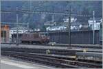 Ob wohl die BLS Re 4/4 (Re 425) noch im Einsatz stehen oder bereits von den Re 465 abgelöst wurden? Dieser Frage wollte ich nach gehen und dazu hatte ich den Plan, nach Kandersteg, Goppenstein