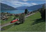 Eine SBB Re 460 mit dem IR 974 von Interlaken nach Basel bei Faulensee.