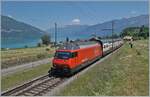 Sommer am Thunersee: die SBB Re 460 115  Heideiland  (UIC 91 85 4 460 115-9 CH-SBB) ist mit einem IC Richtung Bern bei Faulensee unterwegs.