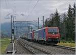 Die SBB Re 474 003 und eine weitere fahren mit einem langen Güterzug durch Mülenen.