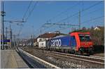 Die SBB Re 484 013 erreicht mit einem langen G�terzuug Gallarate.