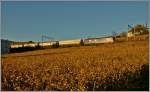 Eine SBB Cargo Re 6/6 mit einem �lzug Ausgangs Lutry Richtung Wallis.