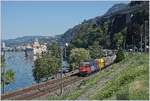 Die am 9.7.18 aus der Revision entlassene Re 620 083-6  Amsteg-Silenen  (UIC 91 85 4 620 083-6cCH-SBBC) mit einem Güterzug Richtung Wallis beim Château de Chillon.