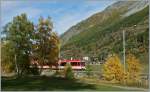 Motiv verdeckt: Trotzdem kann man den Zermattshuttle in der sch�nen Landschaft erkennen.