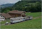 Der Blonay-Chamby MOB BCFe 4/4 N� 11 f�hrt mit einer bunten Wagengarnitur Richtung Chaulin.