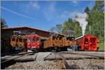 50 Jahre Blonay Chamby - MEGA BERNINA FESTIVAL: Unter dem Titel  Aligenment  fand in Chaulin eine Aufstellung der Bernina Fahrzeuge statt.