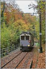 La Derni�re du Blonay - Chamby - das 50.