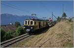 Zugunsten der Aussicht wählte ich hier die Schattenseite des Zuges, welcher der MOB DZe 6/6 2002 kurz nach Blonay in Richtung Chamby zieht.