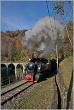 Die Blonay-Chamby G 2x 2/2 105 dampft zum Saison Abschluss (2021) durch die herbstliche Landschaft bei Vers chez Robert in Richtung Chamby.