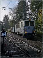 La DER de la Saison 2024! Bei Gegenlicht verlässt der LLB ABFe 2/4 10 der Blonay-Chamby Bahn mit ihrem Zug nach in Blonay den Bahnhof von Chaulin.