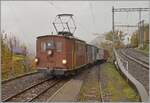 La DER de la Saison / Das Saison Ende der Blonay Chamby Bahn 2025 - Seit einigen Jahren zeigt die Blonay Chamby Bahn zum Saison Ende mit einem verdichteten Fahrplan noch einmal ihre herrlichen