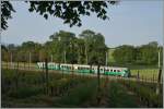 Der BAM Regionalzug 108 auf der Fahrt nach Bi�re zwischen Chigny und Vufflens-le-Ch�teau.