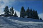 Gut versteckt hinter dem vielen Schnee  zeigt  sich der Beh 2/4 72 auf dem Les Pl�iades.
