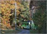 Der ASD BDe 4/4 4/4 402 der auf die Fahrt von Aigle nach Plambuit im bunten Herbstwald bei Verschiez.