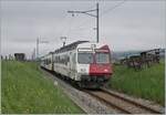 Der TPF RBDe 567 181 Pendelzug ist als RE 4020 ist kurz vor Vaulruz von Fribourg nach Bulle unterwegs. Interessant, wie der Bahndamm als Lagerplatz genutzt wird, was nicht nur praktisch, sondern auch fotogen ist.

12. Mai 2020