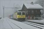 Der bunte RhB Zug nach Arosa passt, so finde ich, nicht schlecht ins Schneegest�ber bei Peist.