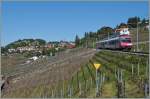 Ein Travys Domino im Einsatz auf der  Train des Vignes  Linie Vevey - Puidoux-Chexbres bei Chexbres.
