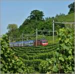 Ein Intercity in den Weinbergen des Lavaux.