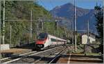 Ein SBB RABe 503 ist als EC 40 auf dem Weg von Milano Centrale nach Genève und fährt durch den Bahnhof von Preglia. 
Das Bild zeigt neben der unschön geöffneten  Schnauze  des SBB RABe 503 allerlei Details: 
Zuerst mal links im Bild der landes-typische Güterschuppen, denn gleich daneben an einem Fahrleitungsmast das  RoLa  Signal, welches das in Fahrtrichtung rechte Gleis für diese Zuggattung verbietet, des weiteren fallen, zugegeben etwas versteckt die SBB und FS Weichensignale auf und zum Abschluss bieten FS-Fahrleitung und SBB Ausfahrsignale eine herrlichen Kontrast. 

31. Oktober 2024