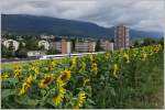 Ein ICN fährt auf seiner Reise in Richtung St.Gallen an Grenchen vorbei.