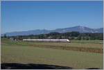 Bei Bolken fährt ein ICN 500 auf dem Weg vom Lac Léman zum Bodensee durchs Mittelland.