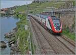 Ein eher seltenerer Gast auf der Simplon-Linie: Zur Zeit verkehren kein SBB RABDe 502 im Plandienst auf der Simplonstrecke, aber für Fahrten zum Alstom-Werk in Villeneuve sorgen doch hin und