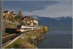 Von der bekannten Fotostelle ein Nachmittagsklassiker: vor dunklen Wolken im Hintergrund zeigt sich sonnenbeschienen St-Saphorin und zwei SBB RABe 523 mit dem RABe 523 023 an der Spitze auf der Fahrt