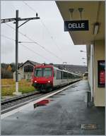 Ein SBB NPZ RBDe 560 erreicht das französische Delle.