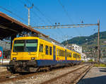 Es waren die letzte Tage des  Train des Vignes  und der sch�ne Zug hat eine Neubearbeitung meiner Bilder, so finde ich, verdient.