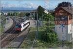 Von Lausanne kommend erreicht der SBB Domino sein Ziel Kerzers.