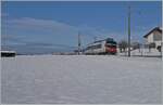 Zwischen Sales und Vaulruz konnte in einer herrlichen Winterlandschaft dieser SBB RBDe 560 Domino fotografiert werden.