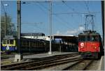 Zwar reicht die Zeit morgen nicht zum Grossen Br�ngibahnfest, aber doch heute  f�r einen Ausflug in die Aareschlucht.